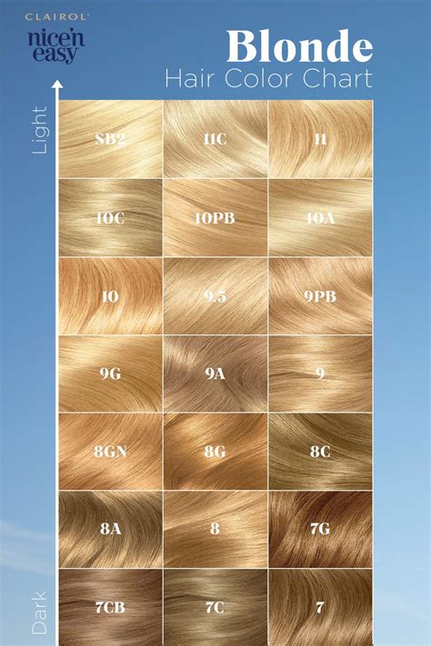 nice n easy hair color|nice easy hair colours chart.